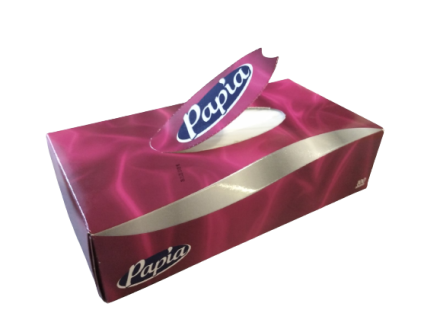 Бумажные салфетки Papia 2 слоя, 100 шт.