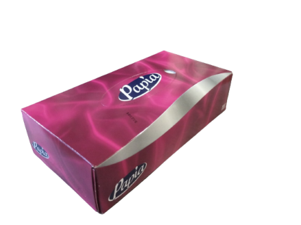 Бумажные салфетки Papia 2 слоя, 100 шт.