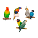 Приманка декоративная HLOOP! 4 наклейки (попугаи, овощи, смайл, шары, мишки) в евроконверте Приманка декоративная HLOOP! 4 наклейки (попугаи, овощи, смайл, шары, мишки) в евроконверте